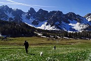 15 Estese fioriture di crocus vernus sullo sfondeo delle Piccole Dolomiti Scalvine 